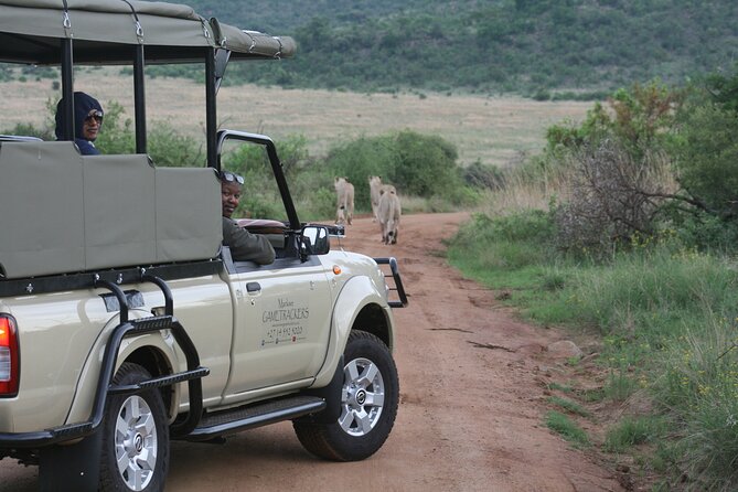 3-Hour Private Game Drive of Pilanesberg National Park - Morning or afternoon: choosing your three hours