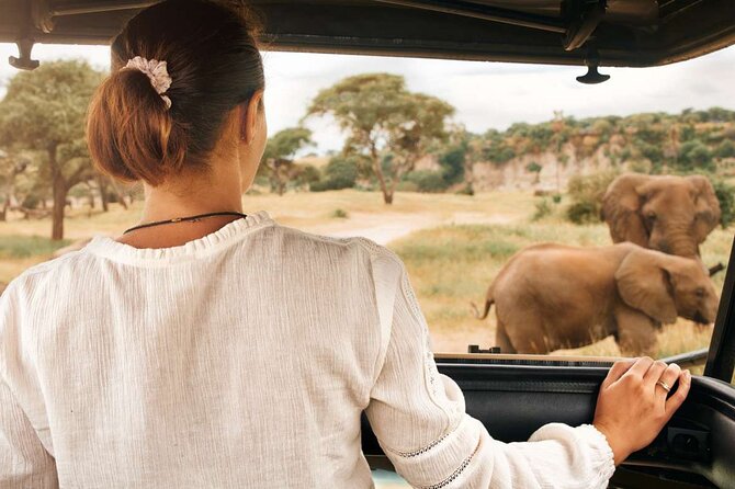 3-Hour Safari Tour in Pilanesberg National Park - Booking, cancellations, and useful planning advice