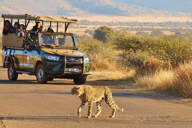 3-Hour Scheduled Safari Game Drive in Pilanesberg National Park - The guide can shape the whole outing
