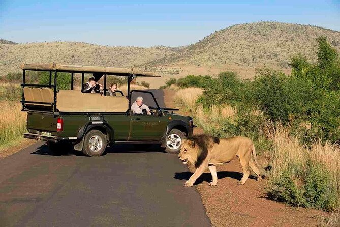 3-Hour Scheduled Safari Game Drive in Pilanesberg National Park - What the price includes, and what it does not