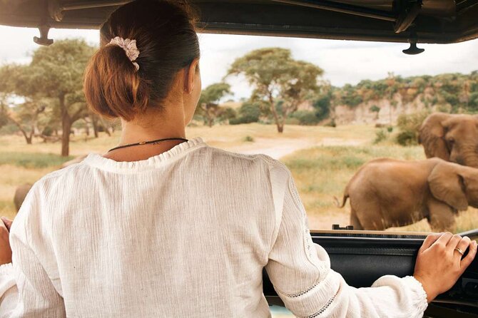 3-Hour Scheduled Safari Game Drive in Pilanesberg National Park - Big Five sightings, with realistic expectations
