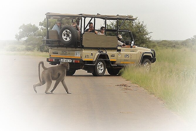 3 Night & 4 Day Private Kruger Park Safari - Key points at a glance