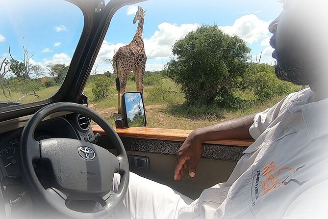 3 Night & 4 Day Private Kruger Park Safari - Why four days works better than a rushed Kruger visit