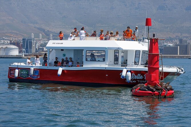 30min Harbour Boat Cruise Cape Town - Finding Waterfront Boat Tours at Quay 5