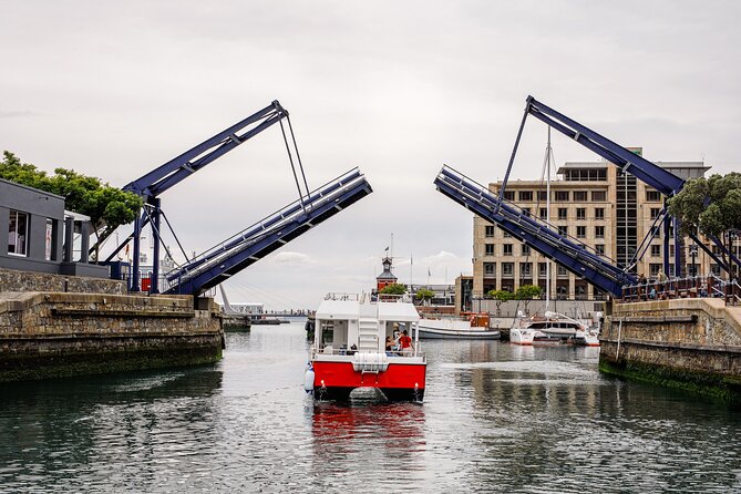30min Harbour Boat Cruise Cape Town - How the $9.20 price works for your day