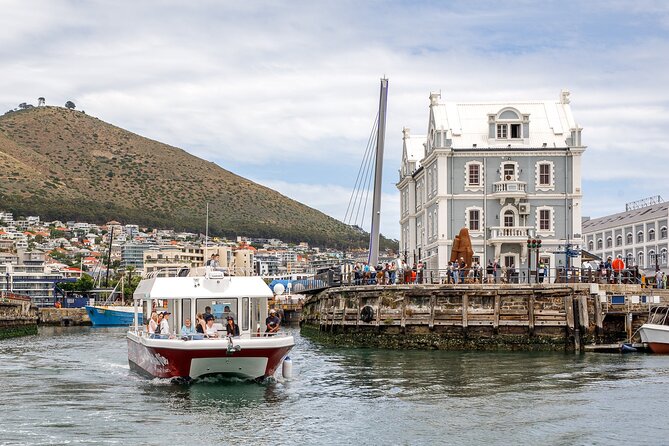 30min Harbour Boat Cruise Cape Town - Timing, weather, and the small print that matters