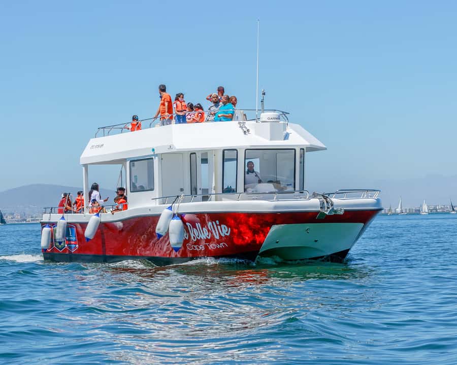 30min V&A Waterfront Harbour Cruise Cape Town - Thirty Minutes Through the Waterfront and Harbour