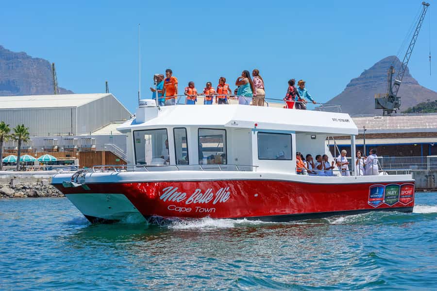 30min V&A Waterfront Harbour Cruise Cape Town - Looking for Ocean Wildlife