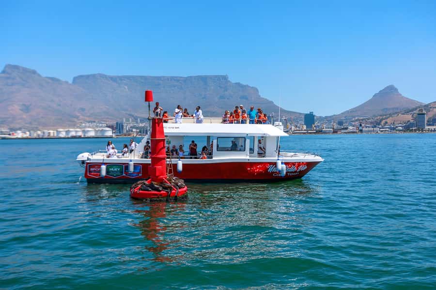 30min V&A Waterfront Harbour Cruise Cape Town - Meeting Une Belle Vie, the 2021 Double-Decker Catamaran