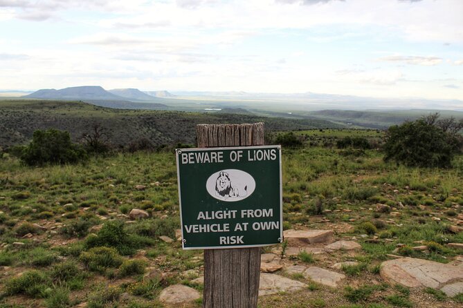 4 Day Addo to Karoo Safari - Day three: the rare chance to track cheetahs on foot