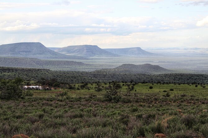 4 Day Addo to Karoo Safari - What $859.99 includes, and what that value means