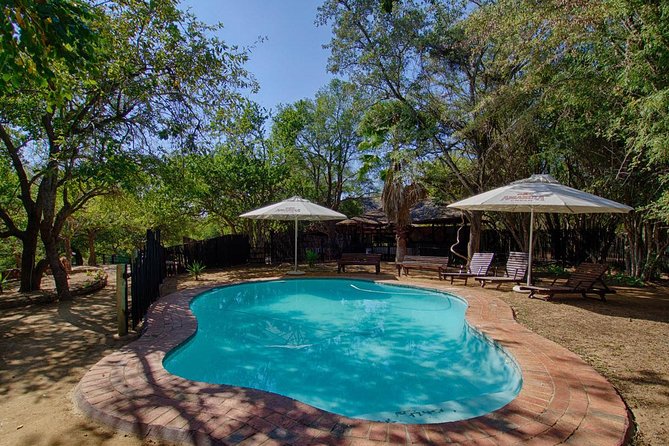 4 Day Budget Kruger National Park Safari - Day three: The full Kruger National Park day