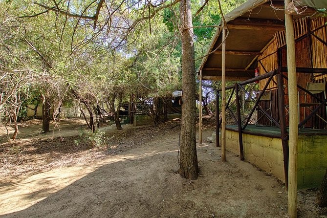 4 Day Budget Kruger National Park Safari - Day four: A short animal walk and the Three Rondawels