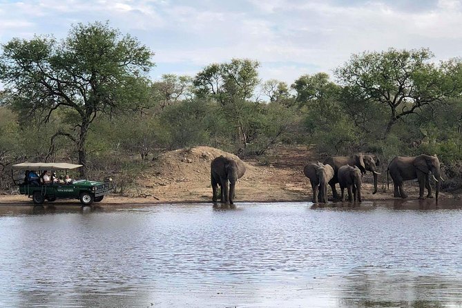4 Day Budget Kruger National Park Safari - Meals, transport, and what the price covers