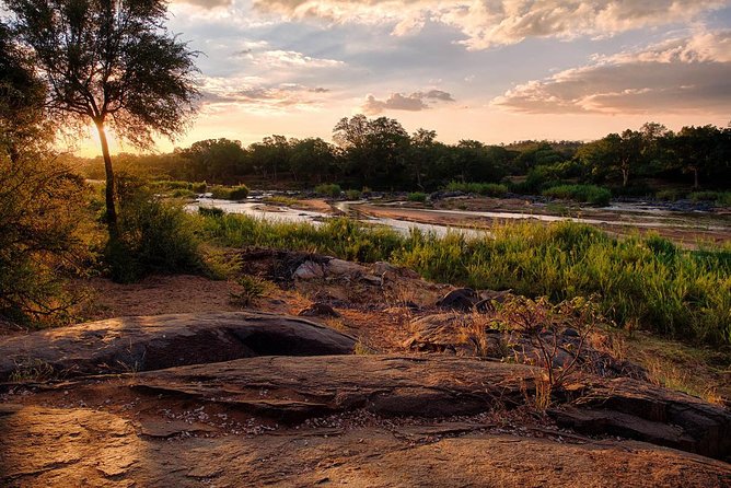 4 Day Budget Kruger National Park Safari - Day one: Johannesburg to Balule after dark