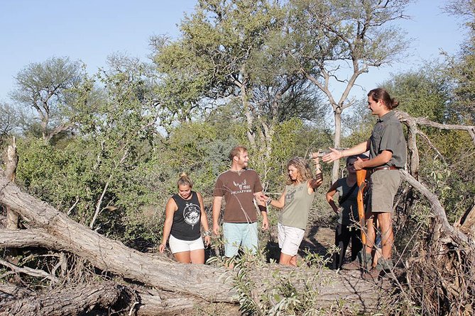 4 Day Classic Kruger National Park Safari - Day 3: Orpen, Satara, and Nwanedzi in Kruger
