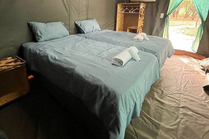 4 Day Dumela Tented Camp at Kruger National Park - Day 1: Airport pickup and a first sunset drive
