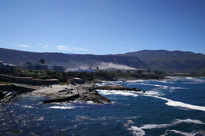 4 Day Garden Route Adventure & Safari - Accommodation, meals, and minivan comfort