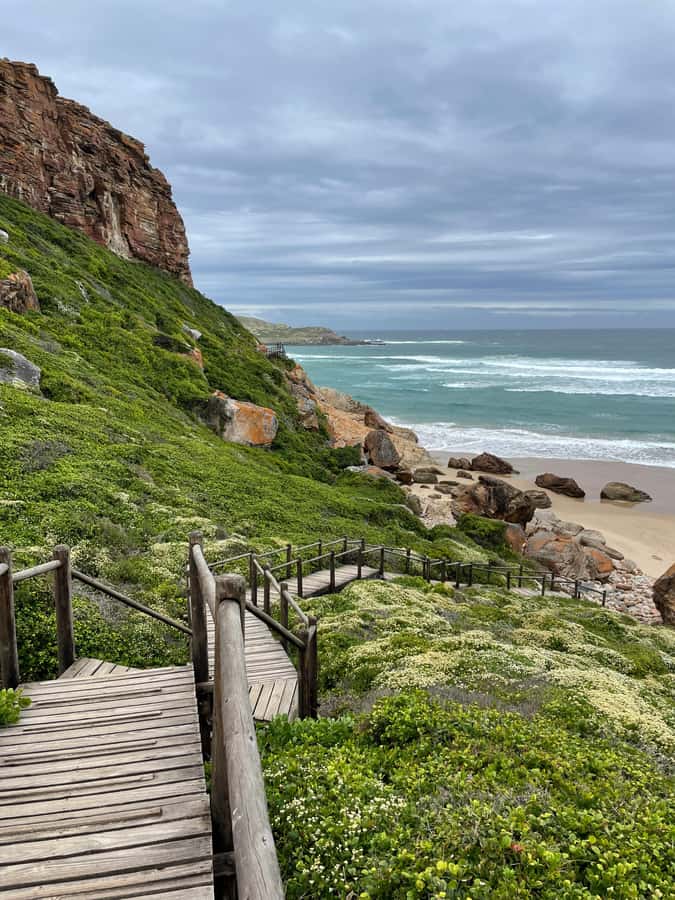 4-Day Garden Route Experience - Should you book the 4-Day Garden Route Experience?