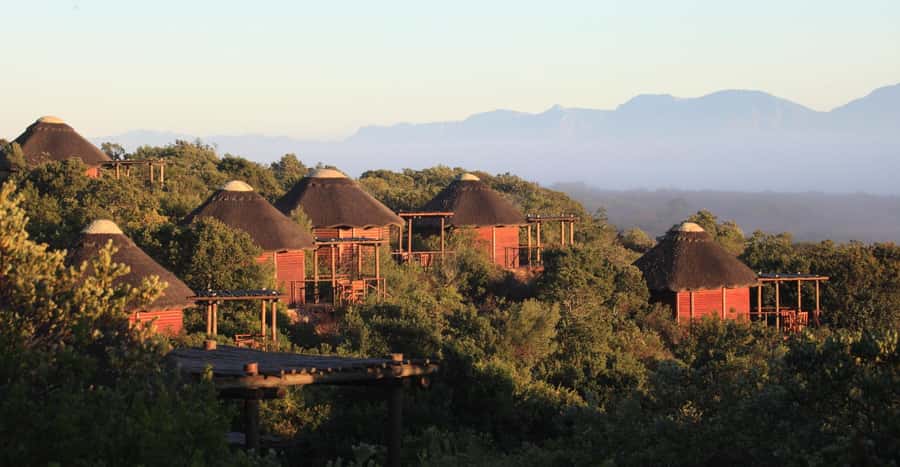 4-Day Garden Route Experience - The early safari and the road to Hermanus