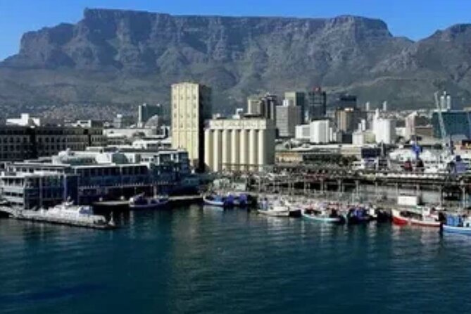 4 Day Garden Route Tour from CapeTown Small Group Hiking and Game - Day four: Hermanus, Benguela Cove, and Betty’s Bay