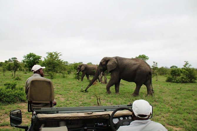 4 Day Greater Kruger National Park Adventure Safari - Key points to know before booking