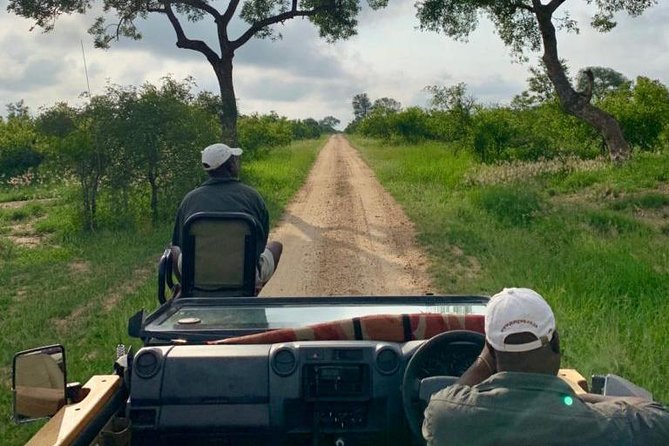 4 Day Greater Kruger National Park Adventure Safari - Big Five expectations, with sensible limits
