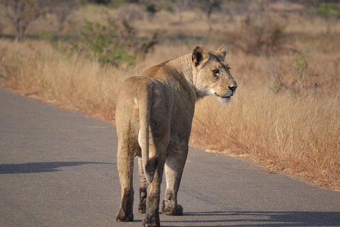 4-Day Hluhluwe Imfolozi and St Lucia Safari from Durban - Why this private safari works well from Durban
