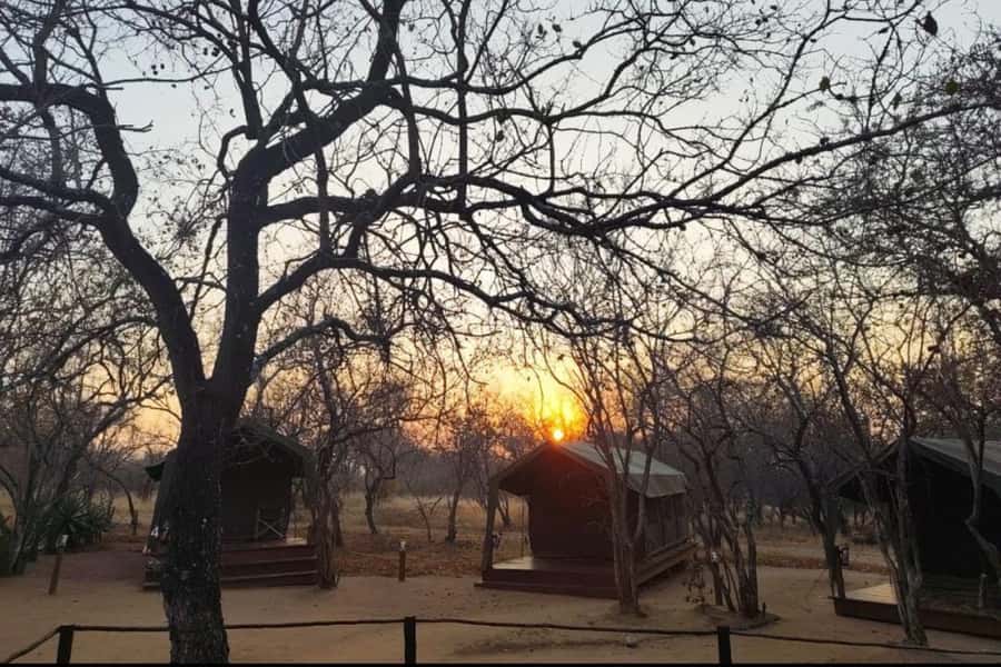 4 Day Kruger Glamping Budget Adventure - Key points to know before booking