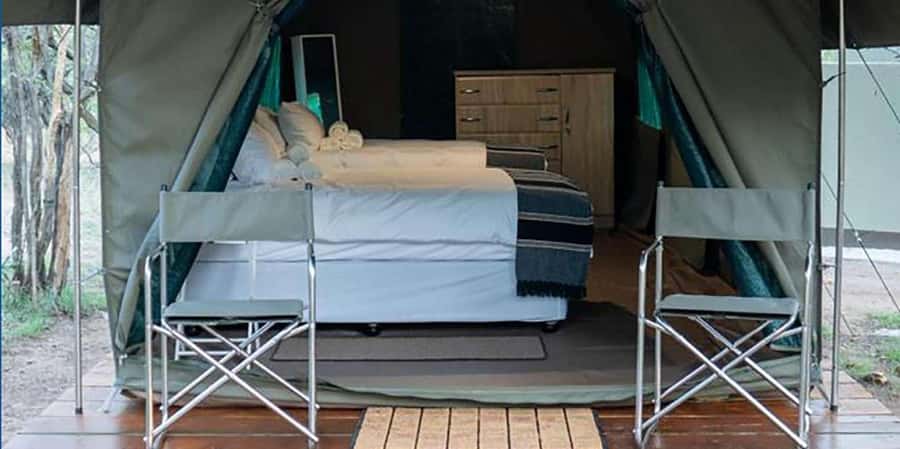 4 Day Kruger Glamping Budget Adventure - Day 1: From OR Tambo to a 15:00 sunset drive
