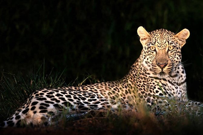 4 Day Kruger National Park and Panorama Route Safari - Getting from Johannesburg to Kruger