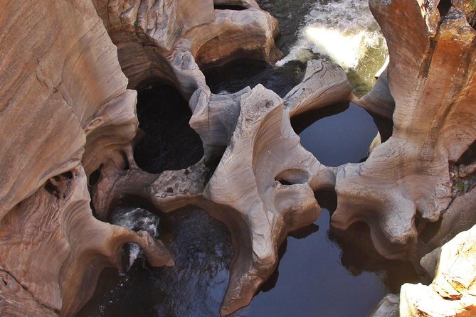 4 Day Kruger National Park and Panorama Route Safari - Day 2: A full wildlife day around Skukuza