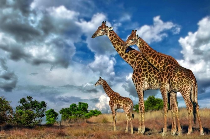 4 Day Kruger National Park and Panorama Route Safari - Day 3: Waterfalls and canyon views on the Panorama Route