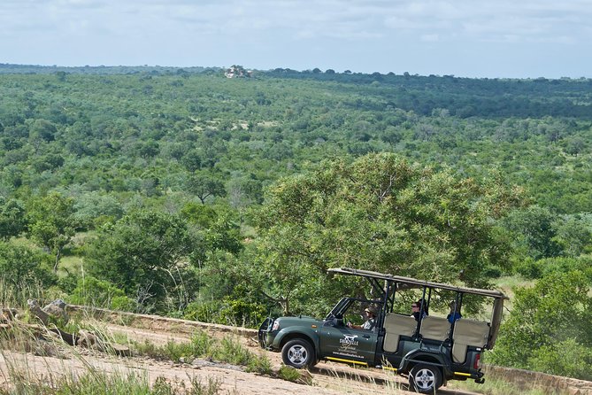 4-Day Kruger National Park Safari including Breakfast and Dinner - Gecko Lodge near Phabeni Gate