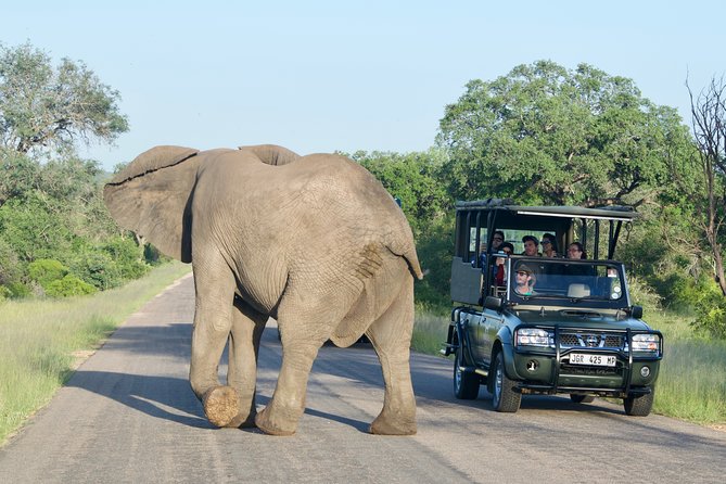 4-Day Kruger National Park Safari including Breakfast and Dinner - Day 2: A full day among waterholes and river systems