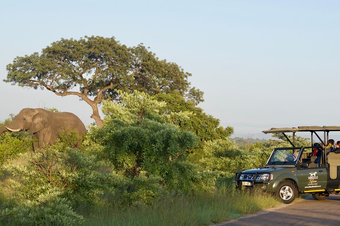 4-Day Kruger Park Safari & Panoramic Tour Combo including Breakfast and Dinner - Why this four-day format works