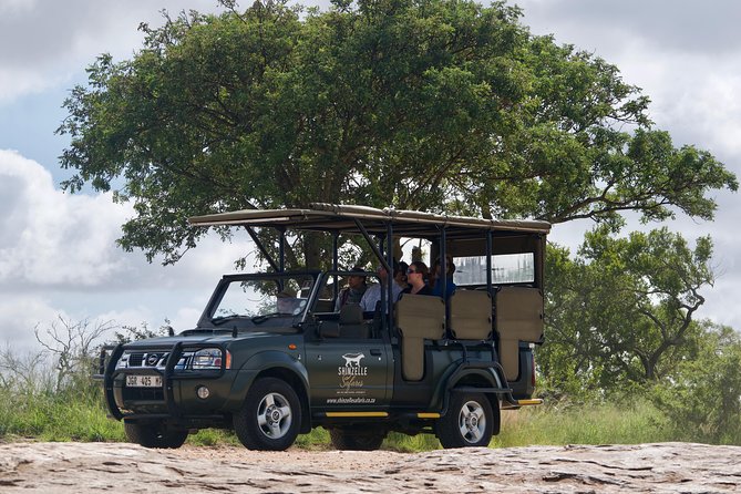 4-Day Kruger Park Safari & Panoramic Tour Combo including Breakfast and Dinner - Day four: one last morning in the park