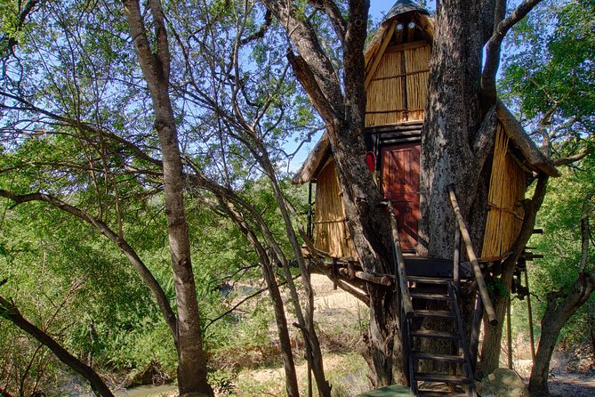 4 Day Lodge and Treehouse Kruger National Park Safari - Why this four-day route works from Johannesburg