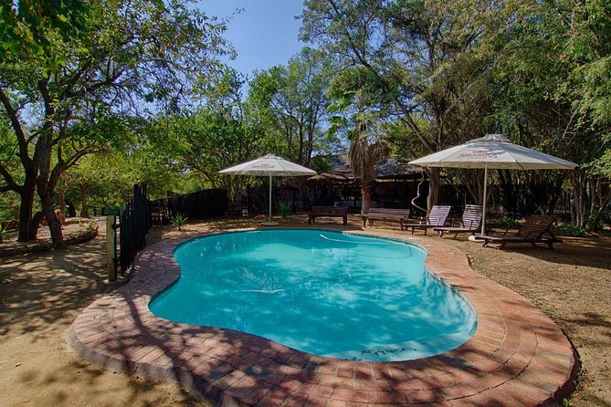 4 Day Lodge and Treehouse Kruger National Park Safari - A full day inside Kruger National Park