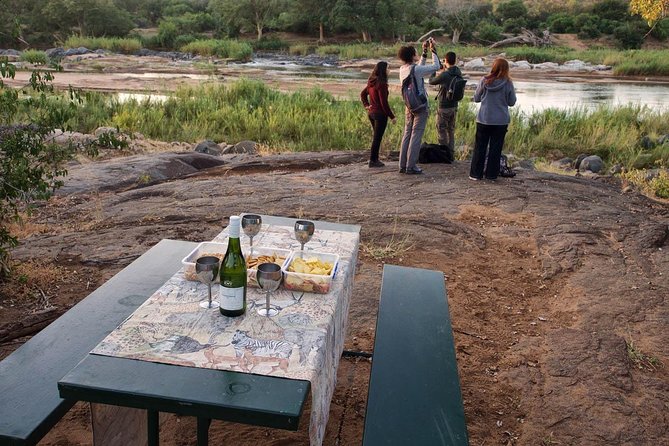 4 Day Lodge and Treehouse Kruger National Park Safari - Who should choose this safari?