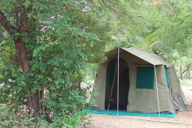4 day Private Kruger Under Canvas Safari - What this Kruger safari actually feels like
