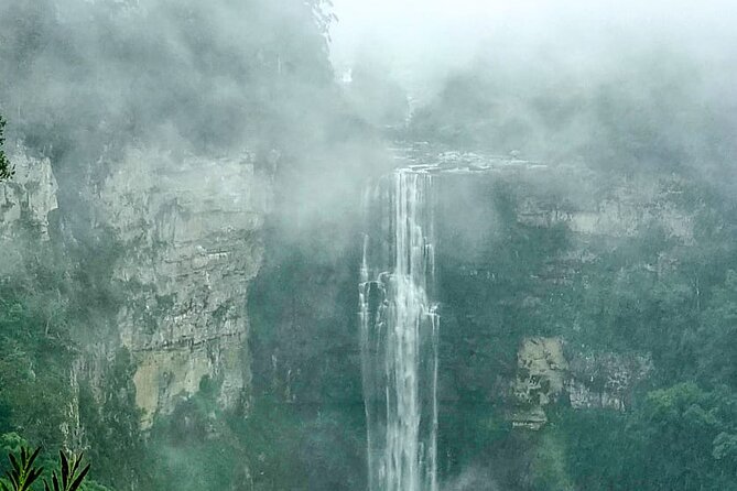 4-Day Private Natal Midlands Falls to Falls Tour - Day three: bird hides, canopy zip lines, and cream tea