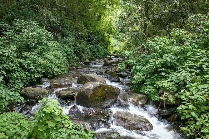 4-Day Private Natal Midlands Falls to Falls Tour - Day one: settling into the Karkloof countryside