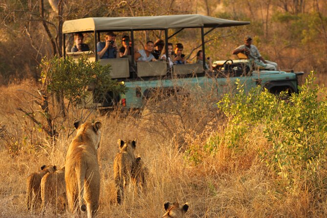 4 Days Radisson Kruger Safari Tour from Johannesburg - Day 2: A Full Day in Kruger National Park