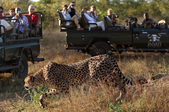 4 Days Radisson Kruger Safari Tour from Johannesburg - The Price: What You Get for $1,874.98