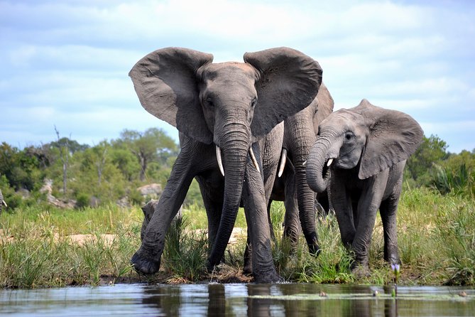 4 Night Kruger safari and Blyde Canyon - Waterfalls and a short final morning