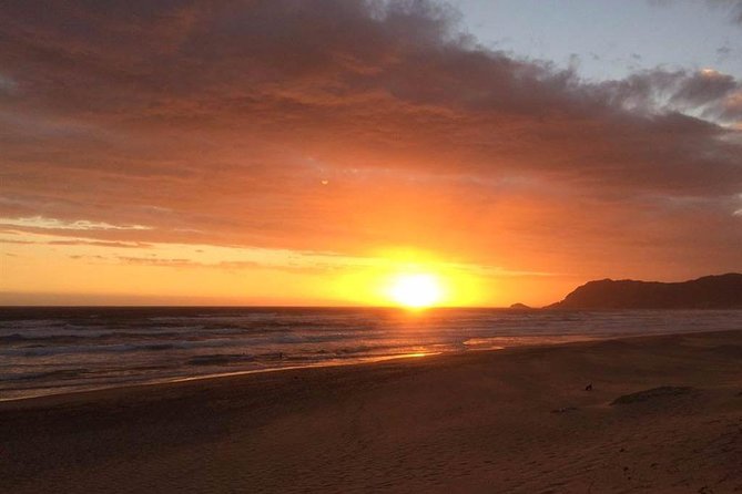5 Day Cape to Addo Safari - Garden Route Small Group Tour - Day 3: Primates, bungee jumping, and Tsitsikamma