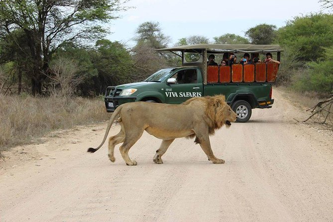 5 Day Classic Kruger National Park Safari - Day one: sunset and night drives in Balule