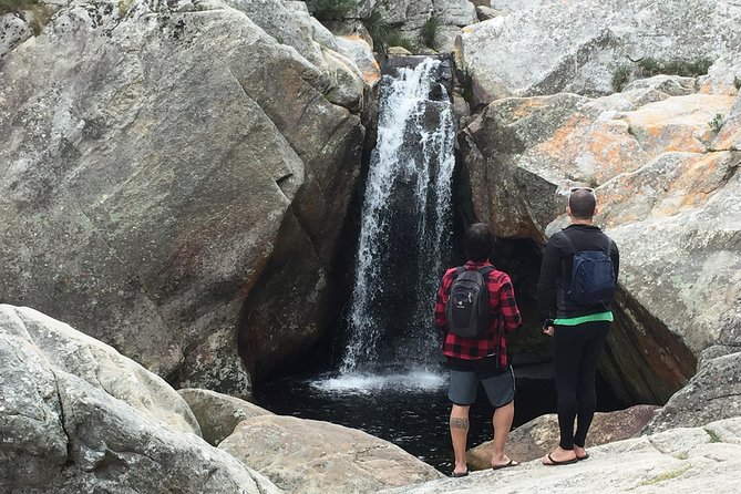 5-Day Garden Route & Addo Adventure from Cape Town to Port Elizabeth - Day 3: Canoeing and a 2-kilometer forest walk in Wilderness
