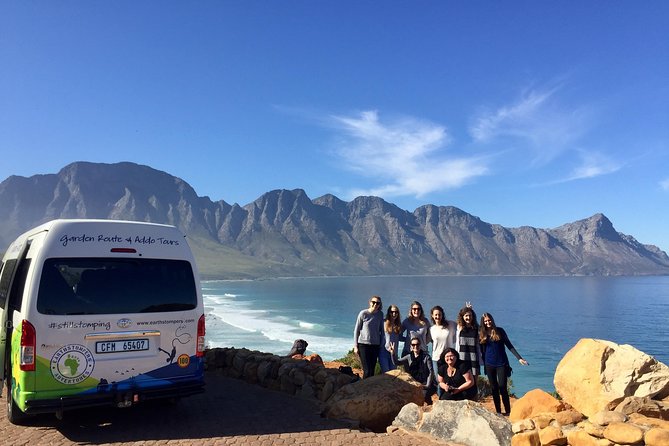 5-Day Garden Route & Addo Adventure from Cape Town to Port Elizabeth - Day 5: A short Addo safari before Port Elizabeth